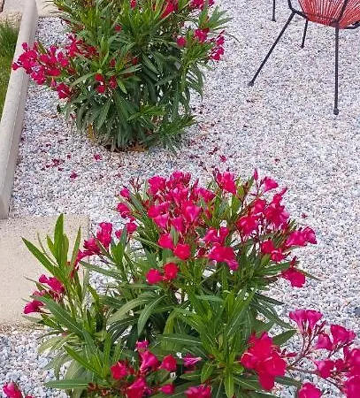 Maison d'hôtes D'hôte La Paisible